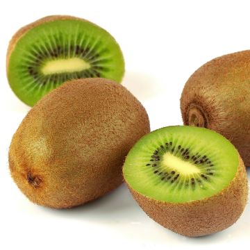 Kiwi Actinidia deliciosa Belen