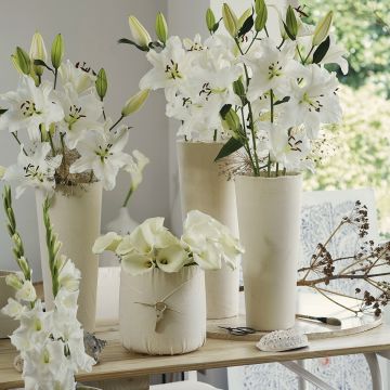 Collezione di bulbi per bouquet moderni bianchi