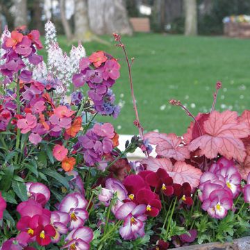 Collezione primaverile romantica in sfumature di rosa