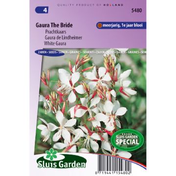 Gaura The Bride