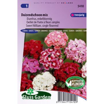 Dianthus barbatus Mix - Garofano dei poeti