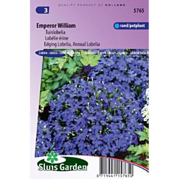 Lobelia Empereur William