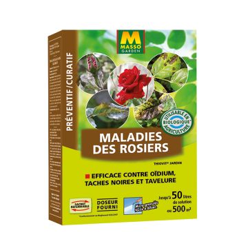 Malattie delle Rose con zolfo UAB Masso Garden