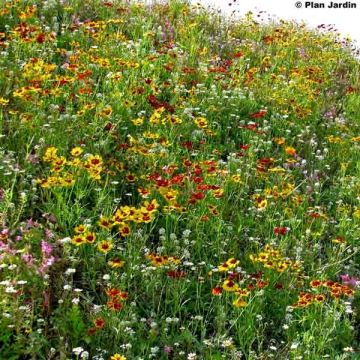 Mischia per terreno difficile