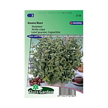 Mentastro verde Crispata Bio