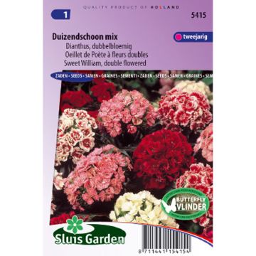 Dianthus barbatus Double Mix - Garofano dei poeti