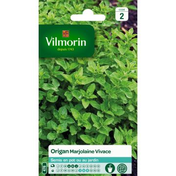 Origano comune - Vilmorin