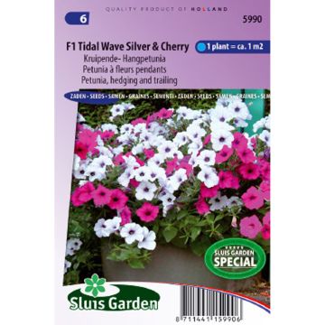 Petunia F1 Tidal Wave Silver & Cherry Red