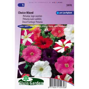 Petunia Choice Mix