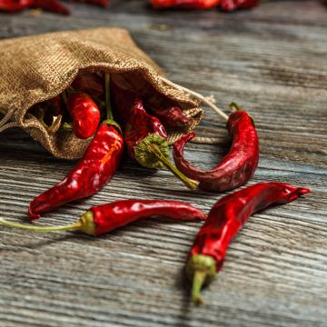 Peperoncino di Cayenna