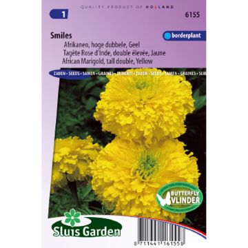 Tagetes erecta Smiles