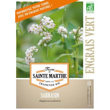 Fagopyrum esculentum Bio - Ferme de Sainte Marthe - Grano saraceno comune