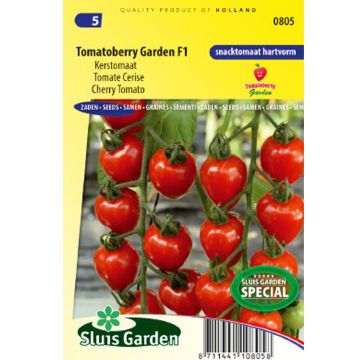 Pomodoro ciliegino/datterino Gardenberry