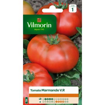 Pomodoro costoluto Marmande - Vilmorin