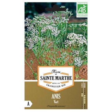 Pimpinella anisum Bio - Ferme de Sainte Marthe - Anice comune