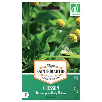 Crescione del Brasile de Para Jaune Bredy Mafana