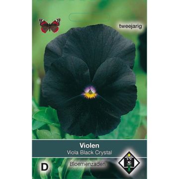 Viola Black Cristal