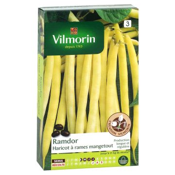 Fagiolo rampicante Ramdor - Vilmorin