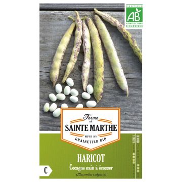 Fagiolo da sgranare Cocagne Bio - Ferme de Sainte Marthe