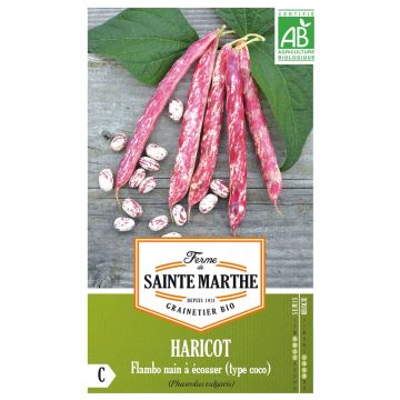 Fagiolo da sgranare Flambo Bio - Ferme de Sainte Marthe