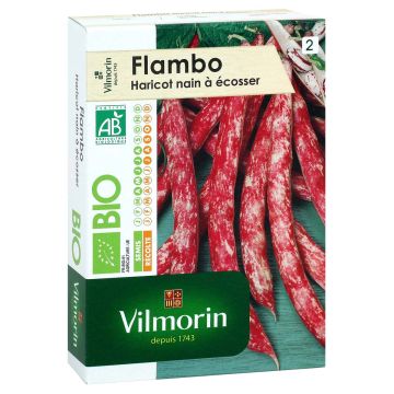 Fagiolo da sgranare Flambo Bio - Vilmorin