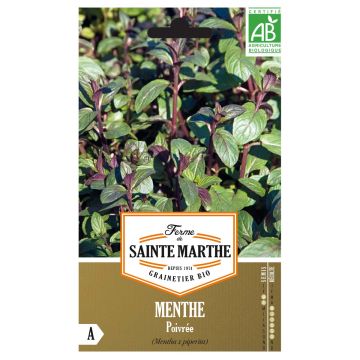 Mentha piperita Bio - Ferme de Sainte Marthe - Menta piperita