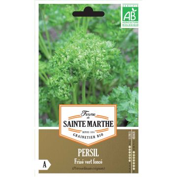 Prezzemolo riccio verde scuro Bio - Ferme de Sainte Marthe