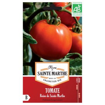 Pomodoro Reine de Sainte-Marthe