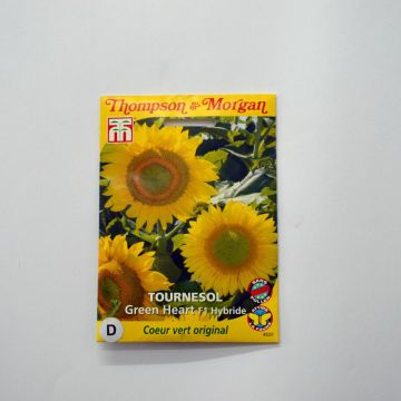 Girasole F1 Green Heart