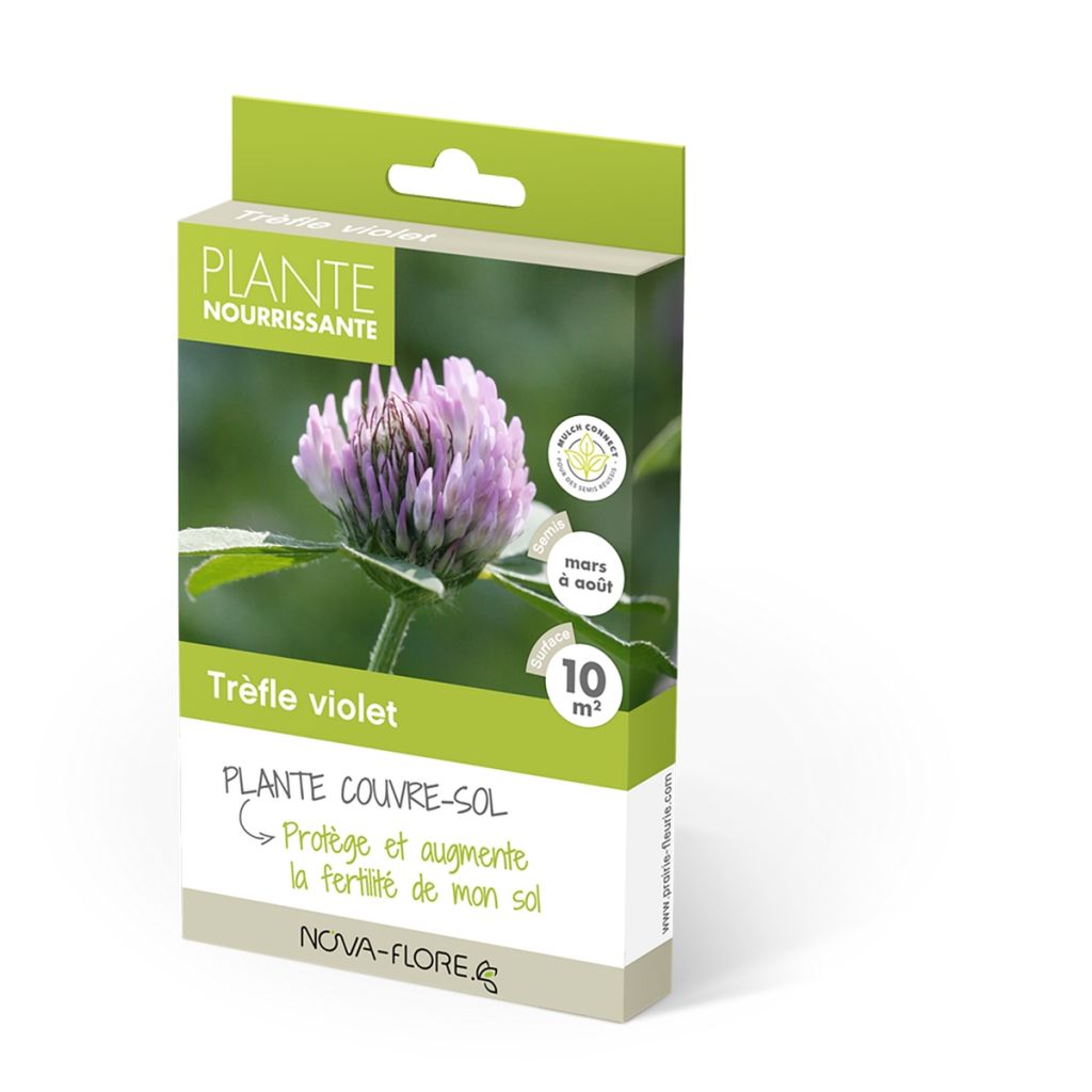 Trifolium pratense (sovescio) - Trifoglio pratense