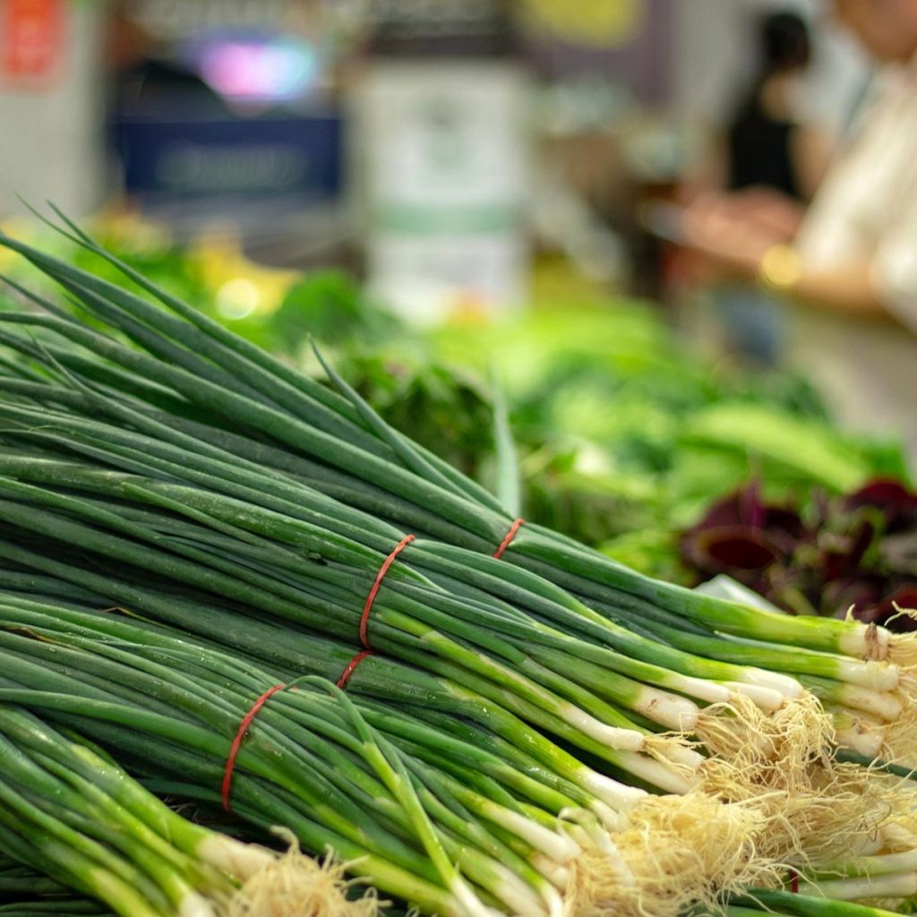 Ciboulail - Ciboule de Chine en plants