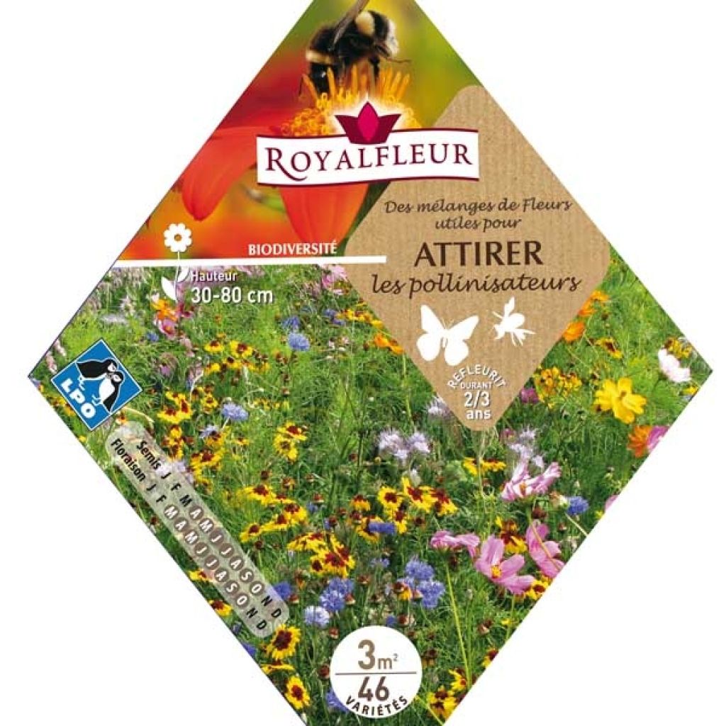 Mélange pour attirer les pollinisateurs - Sachet 3 m2