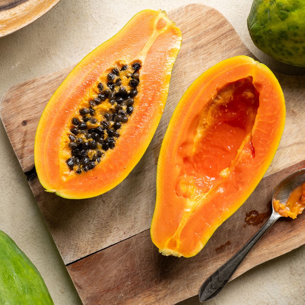 Carica papaya - Papaia