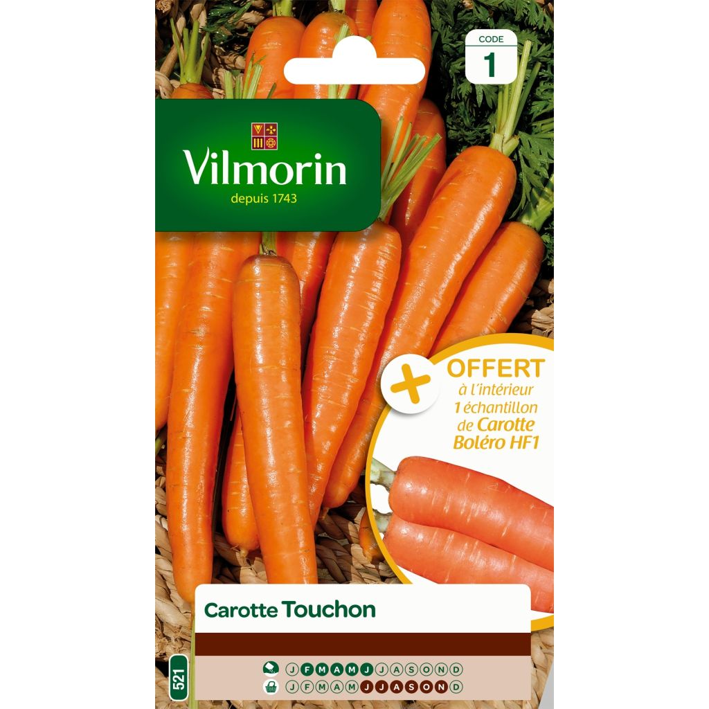 Carota Touchon - Vilmorin