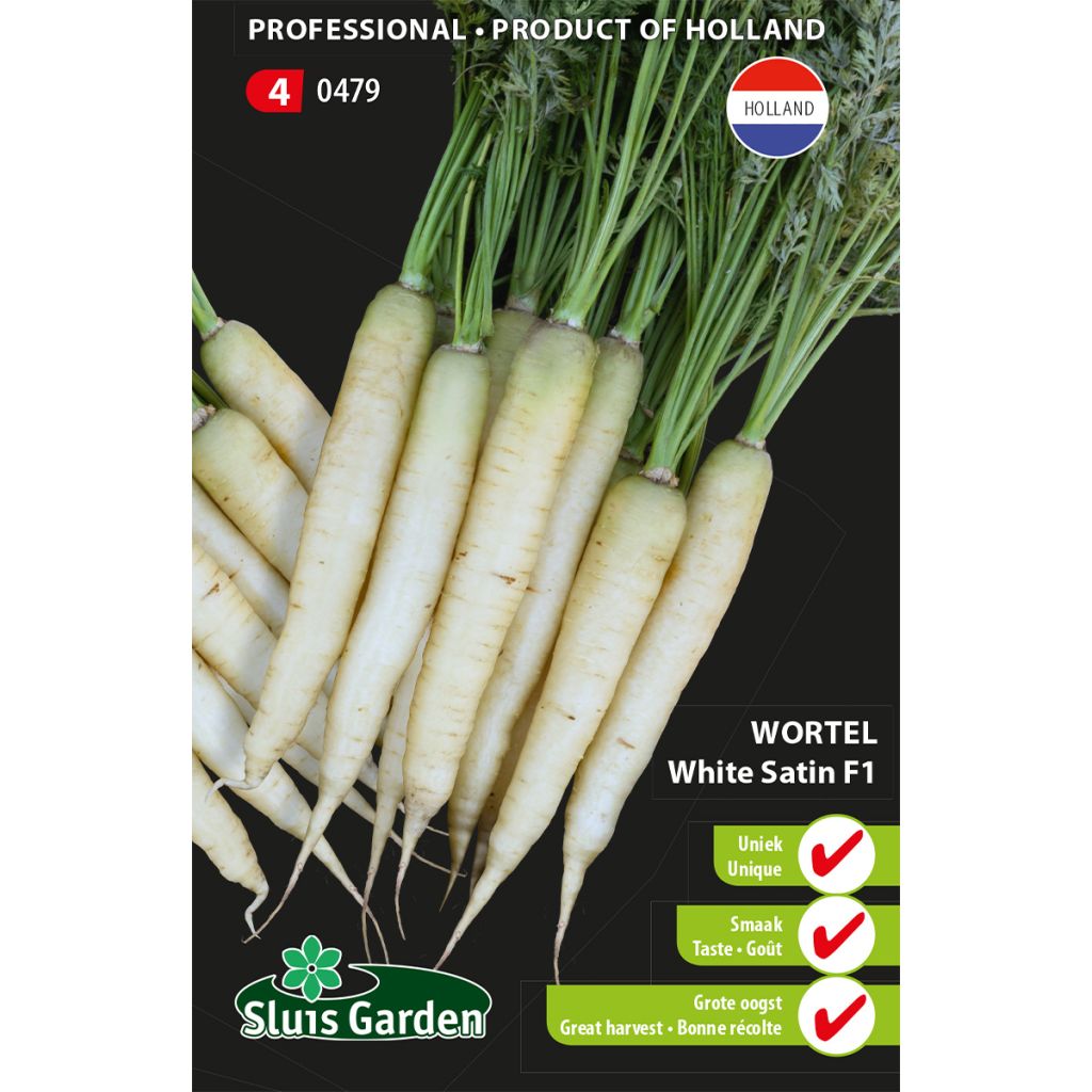 Carota White Satin F1