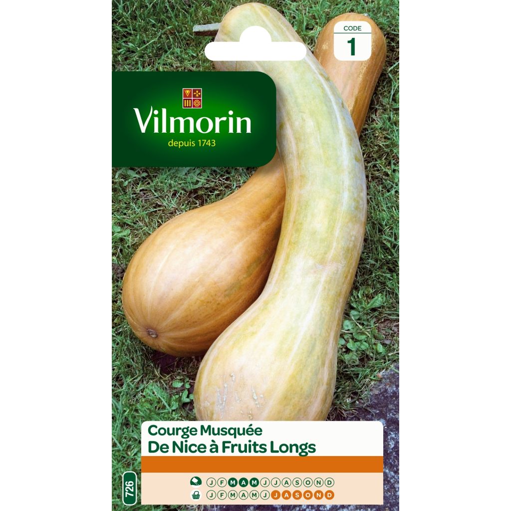 Zucchino trombetta di Nica - Vilmorin