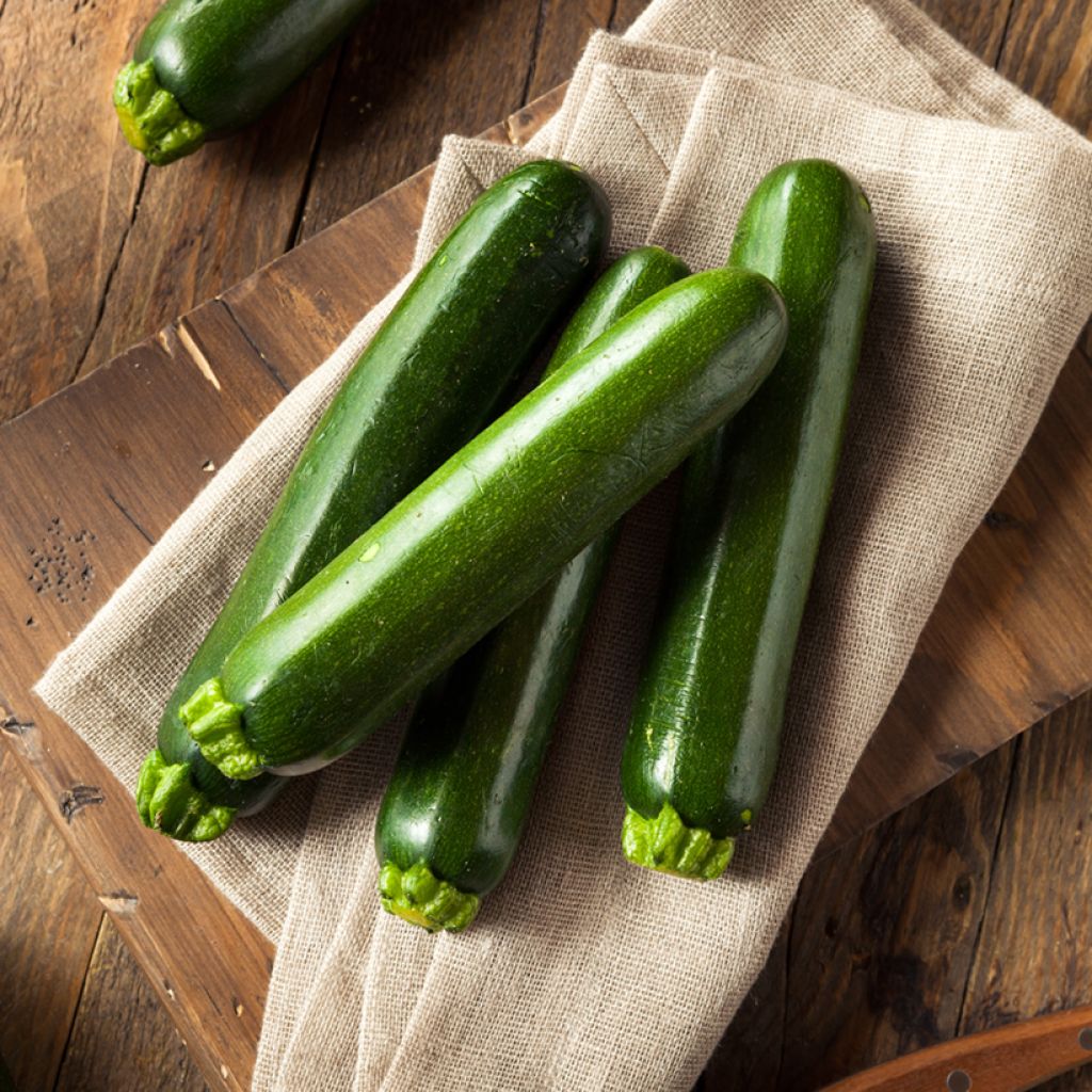 Zucchino Brillante F1