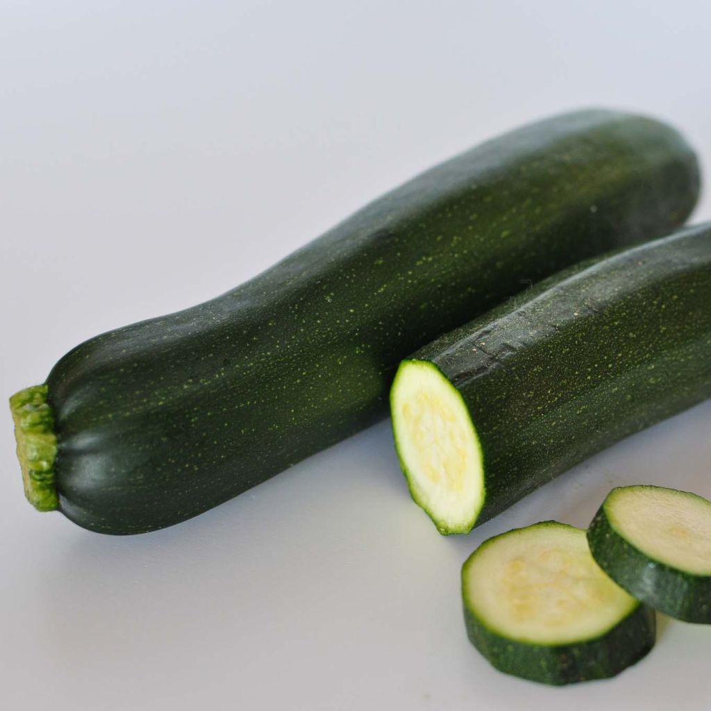 Zucchino Verde non coureuse Bio