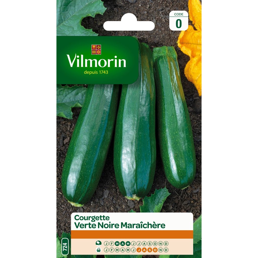 Zucchino verde nero