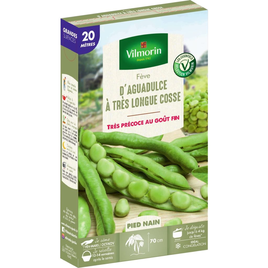 Fava Aguadulce a baccello molto longo - Vilmorin