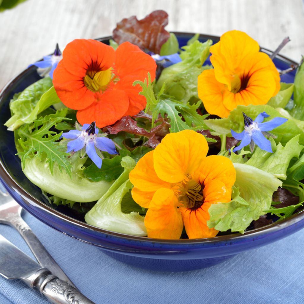 Semi Fiori commestibili BIO bustina da 20 grammi