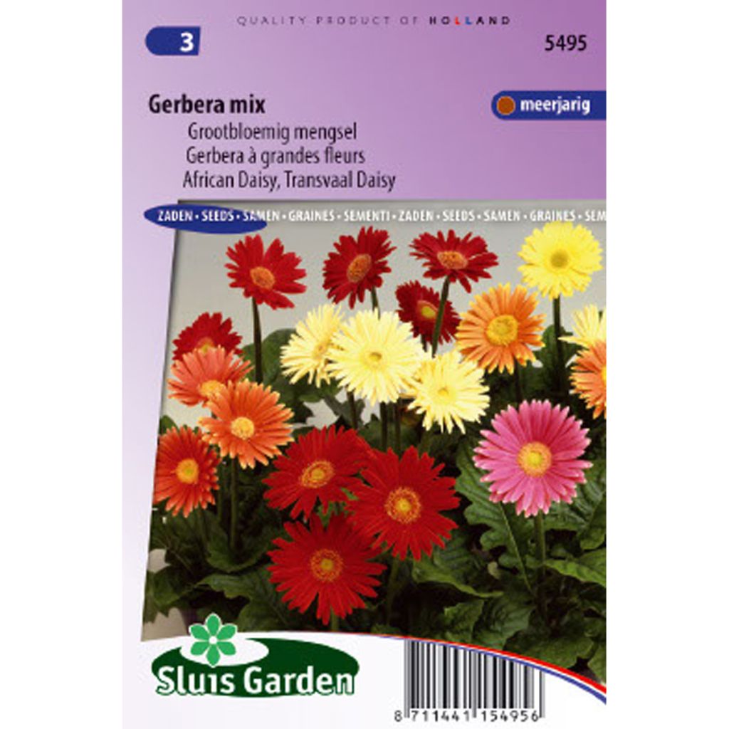 Gerbera Mix (semi)