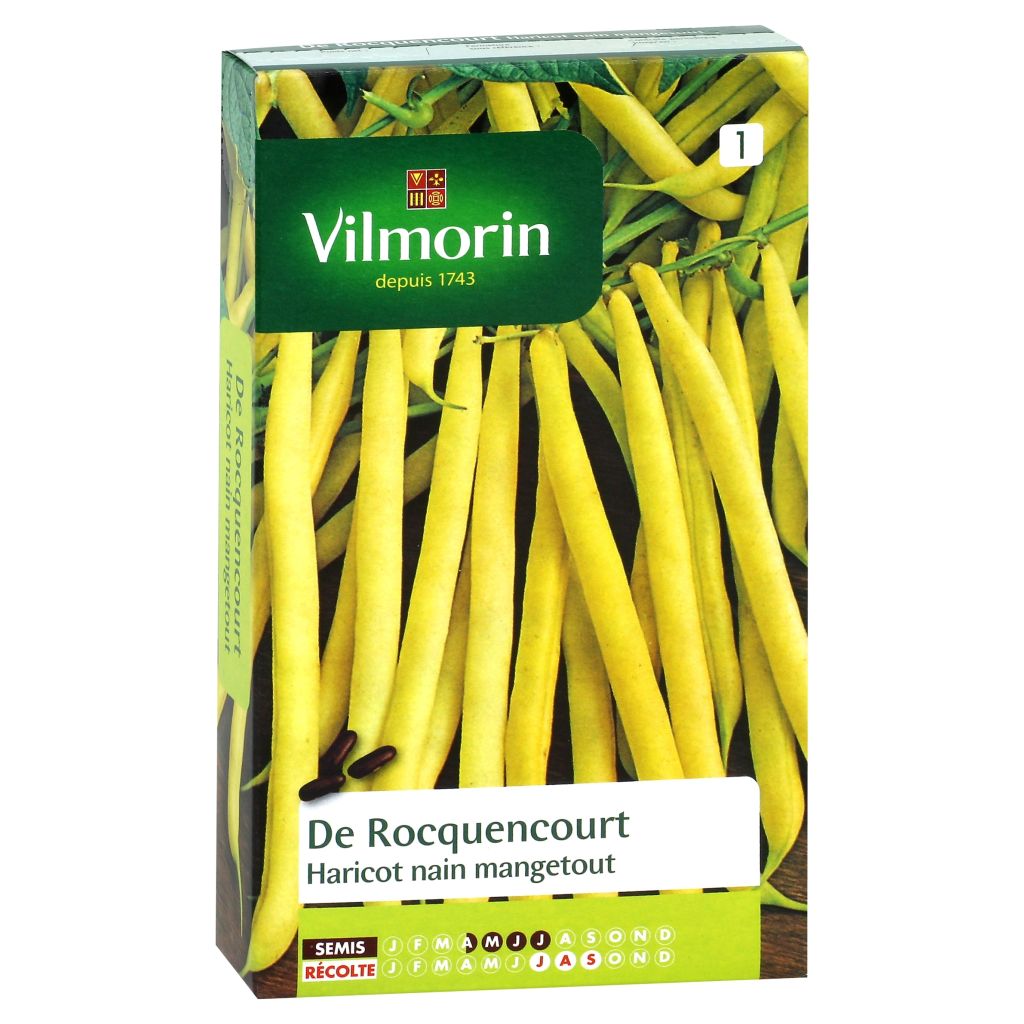 Fagiolino Rocquencourt - Vilmorin