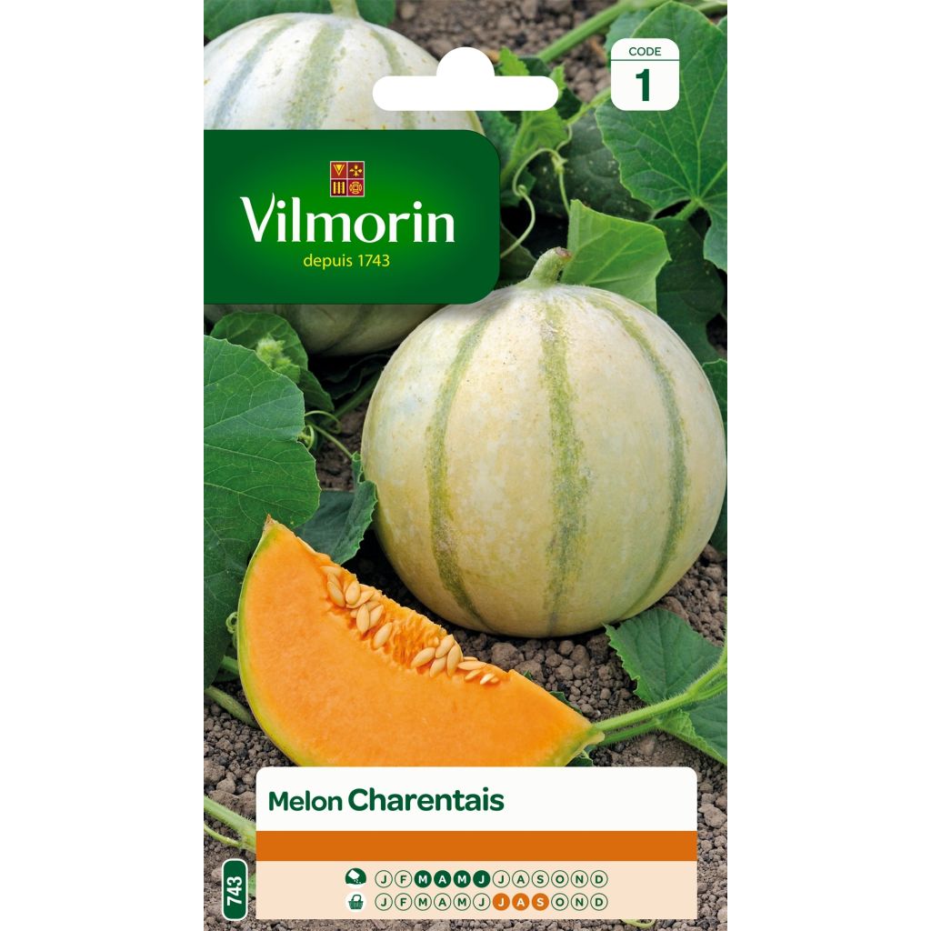 Melone Cantalupo di charentais