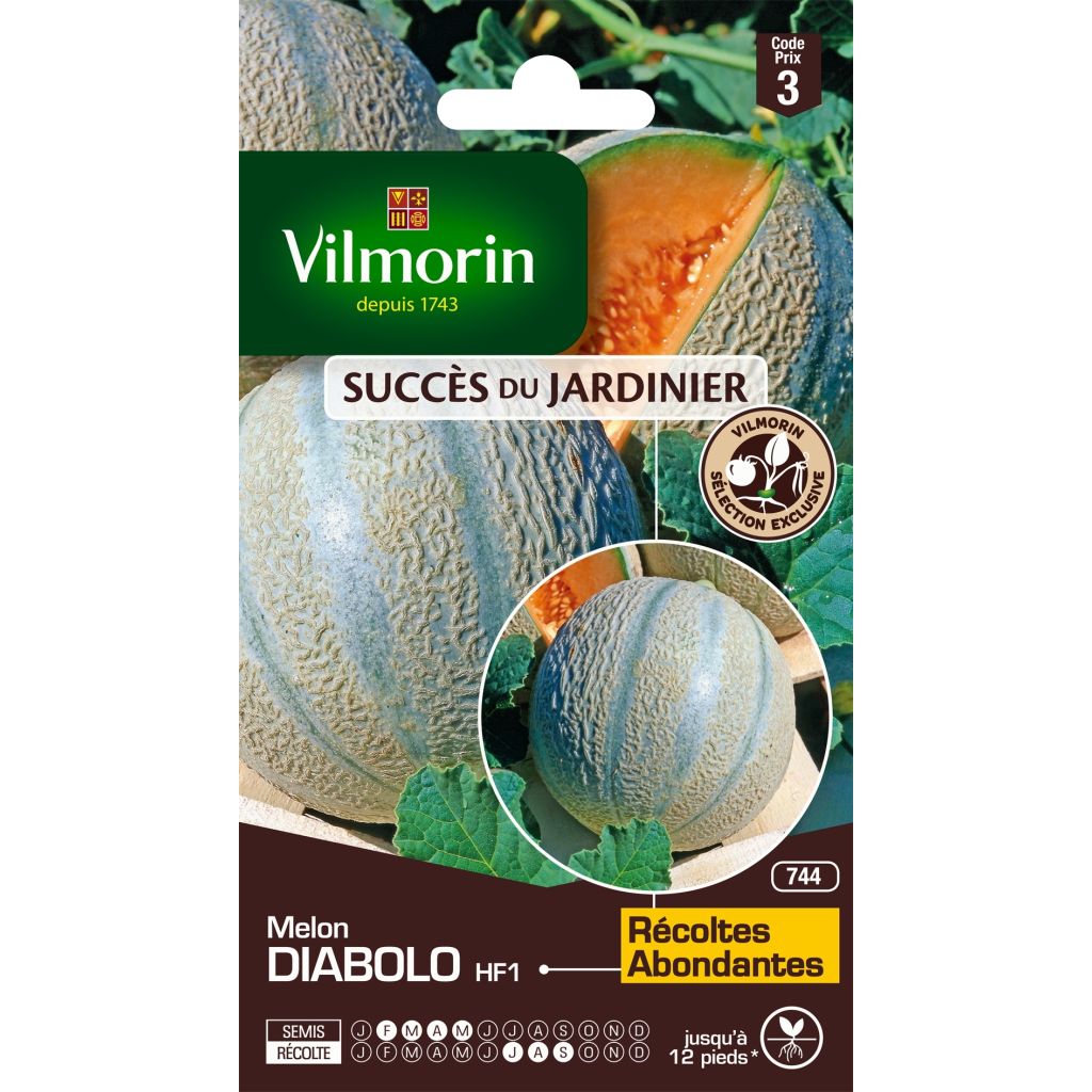 Melone Diabolo F1 - Vilmorin