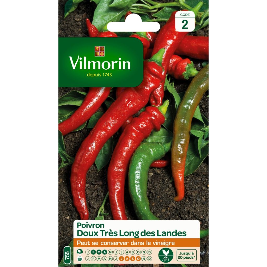 Peperoncino Lungo delle Lande - Vilmorin