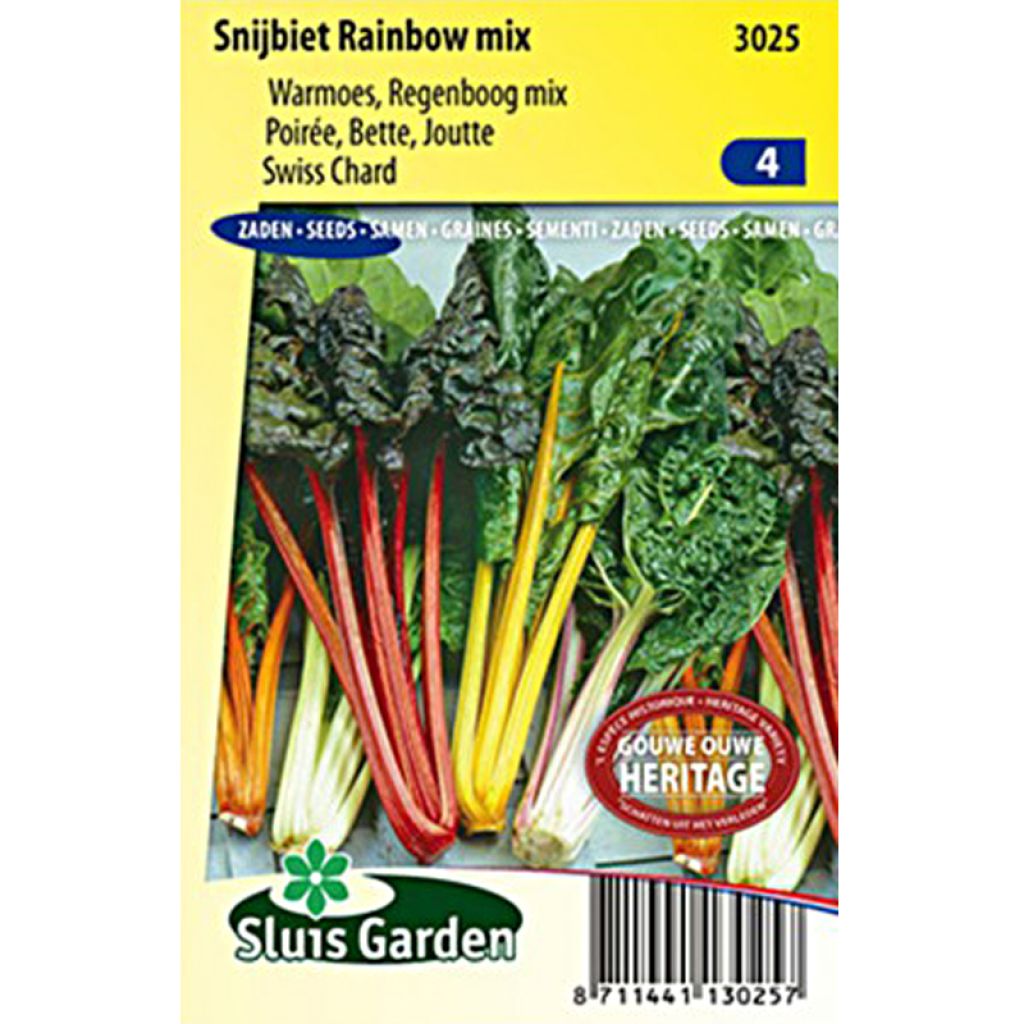 Poirée Rainbow mix - Blette Arc-en-ciel - Beta vulgaris