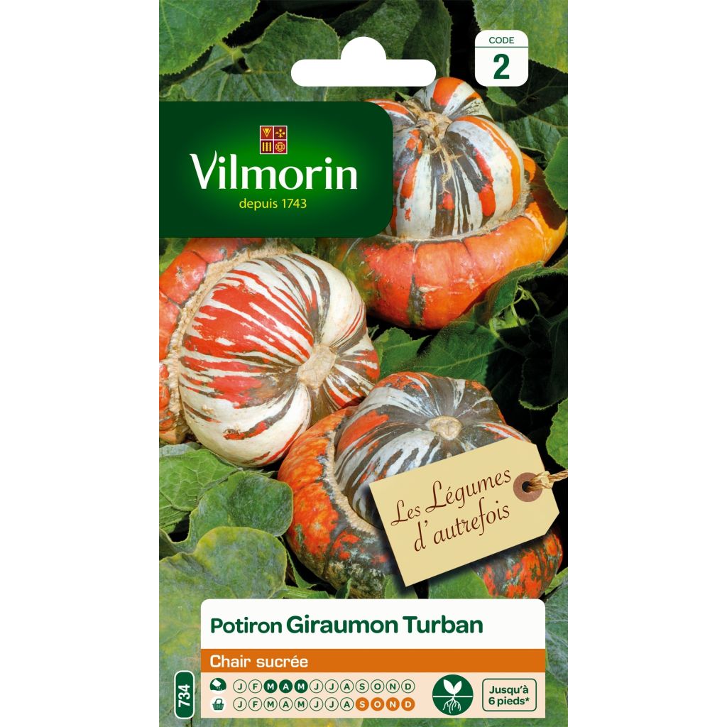 Zucca Giraumon Turban - Vilmorin