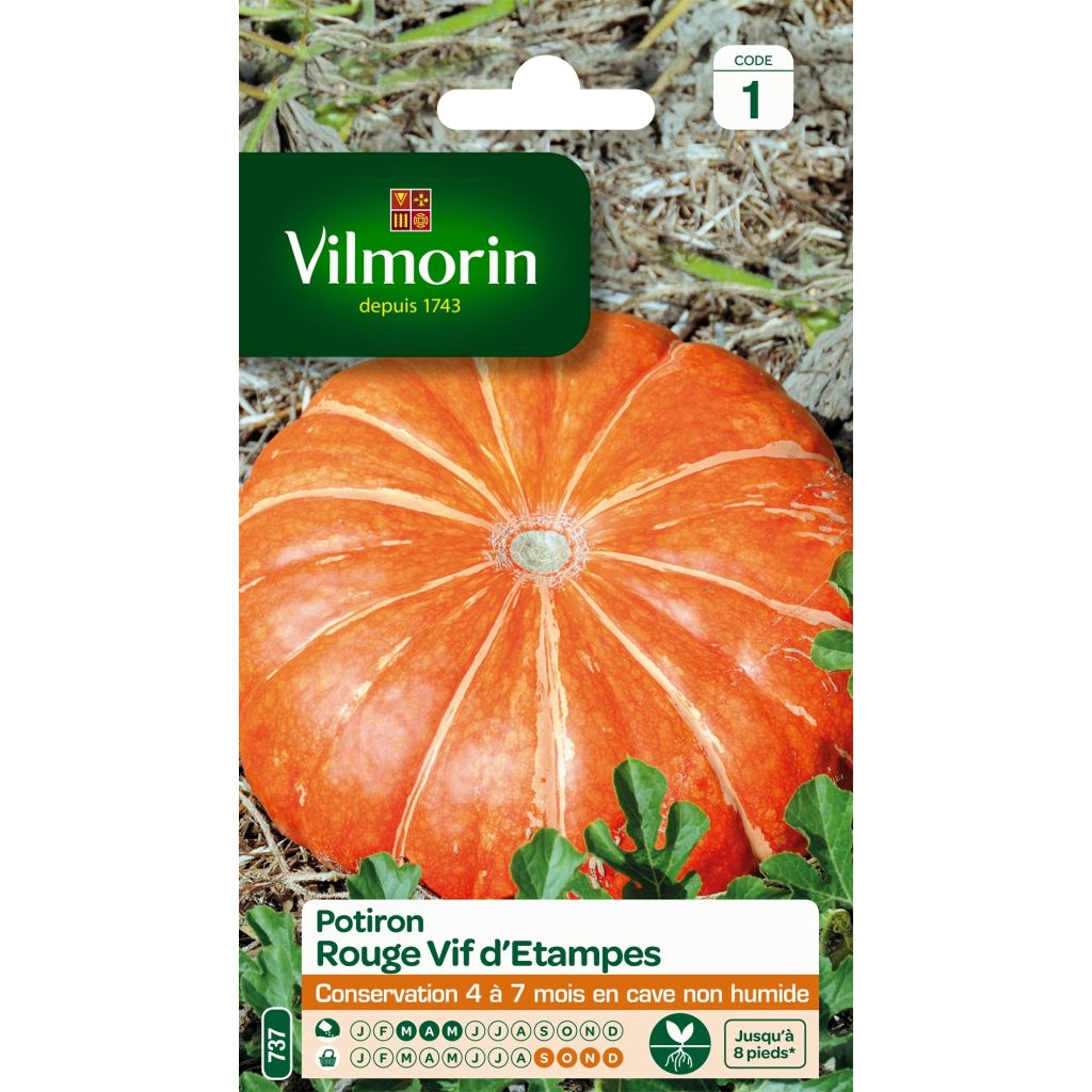 Potiron rouge vif d'Etampes - Vilmorin