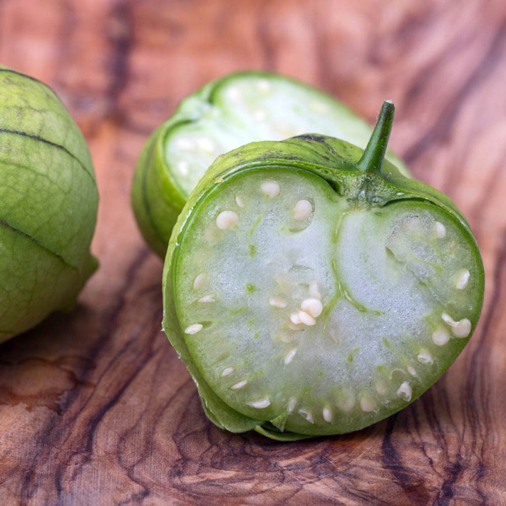 Physalis ixocarpa Bio - Ferme de Sainte Marthe - Alchechengio vischioso